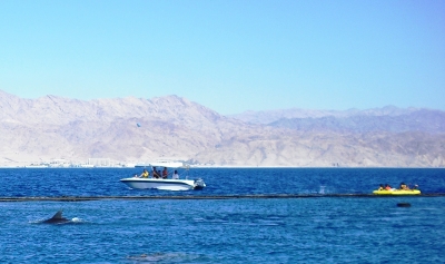 Travel Guide Eilat, Israel: Eilat water sports on Eilat beach